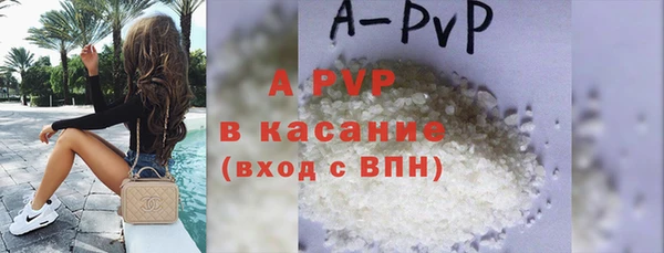 дмт Бородино