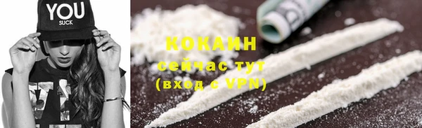 прущие грибы Верхний Тагил