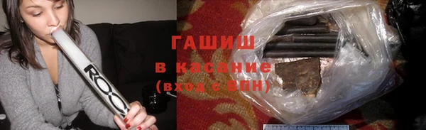 прущие грибы Верхний Тагил