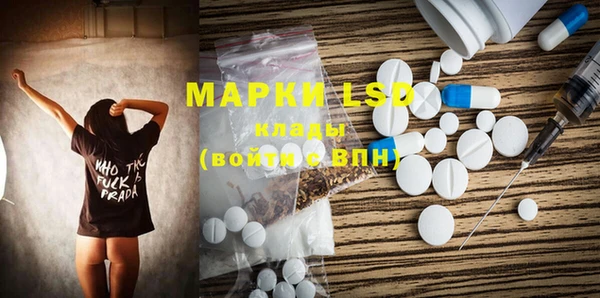 прущие грибы Верхний Тагил
