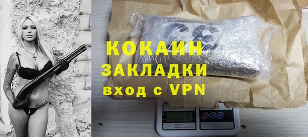 прущие грибы Верхний Тагил