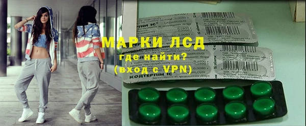 прущие грибы Верхний Тагил