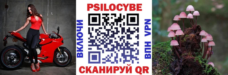 Галлюциногенные грибы мухоморы  darknet как зайти  Новохопёрск  MEGA tor 